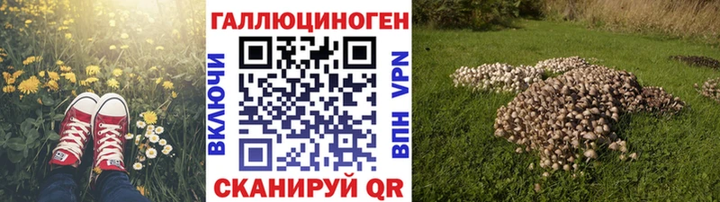 Галлюциногенные грибы Psilocybe  Саранск 